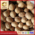 Walnut in Shell 32++ Good Quality Export Bulk Price